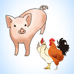 王鶏バイオ / とんとんグッド - 鶏用養豚用生菌混合飼料